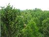 100_3554.JPG