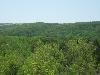 100_3555.JPG