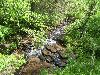 100_3559.JPG