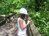 100_3560.JPG