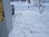 100_4958.JPG