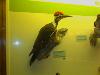 IMAGE_037.jpg